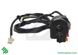 pulsantiera cf moto 450 (1)